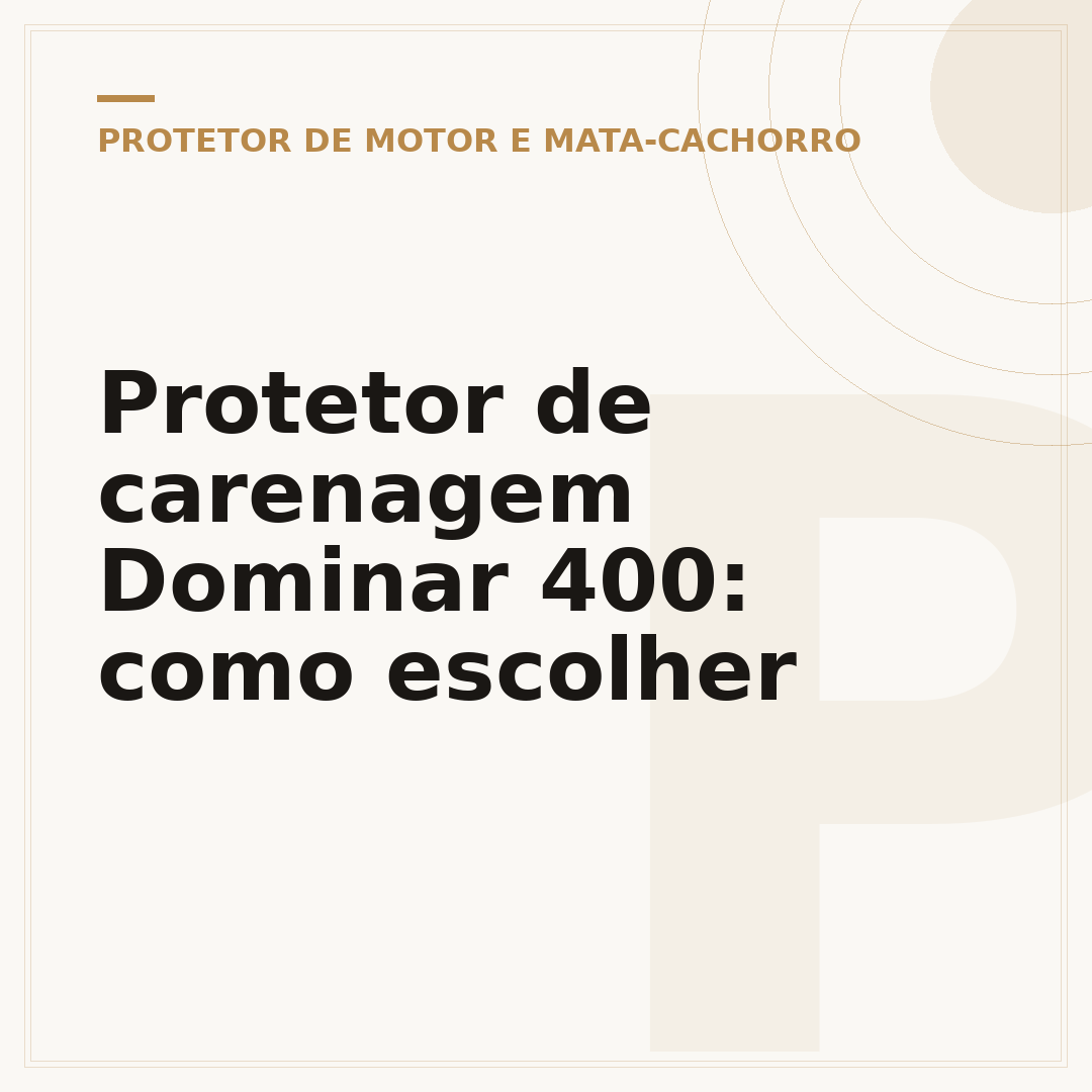 Protetor de carenagem Dominar 400: como escolher