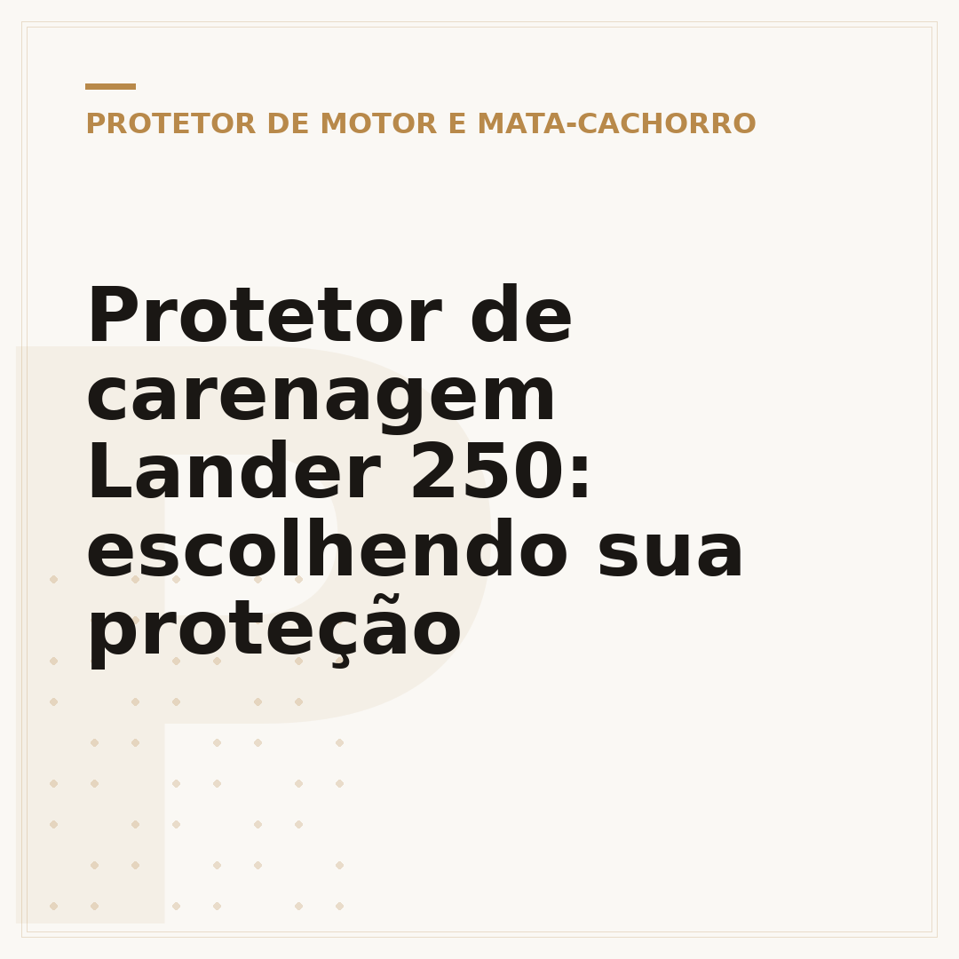 Protetor de carenagem Lander 250: escolhendo sua proteção