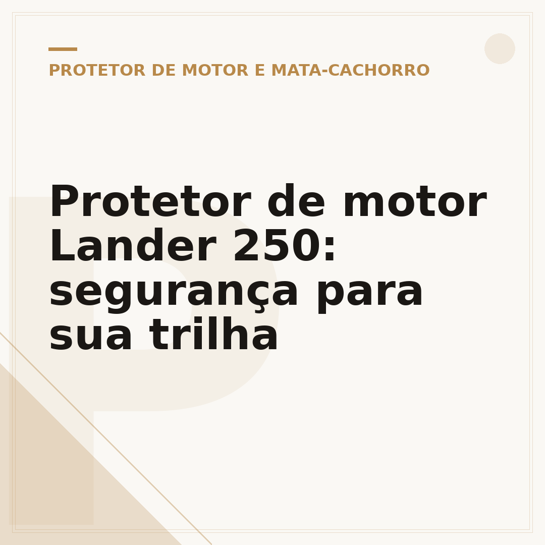 Protetor de motor Lander 250: segurança para sua trilha