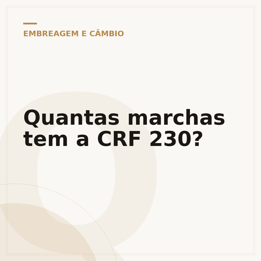 Quantas marchas tem a CRF 230?