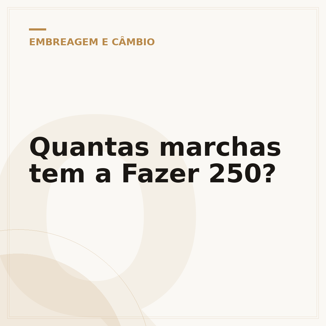 Quantas marchas tem a Fazer 250?