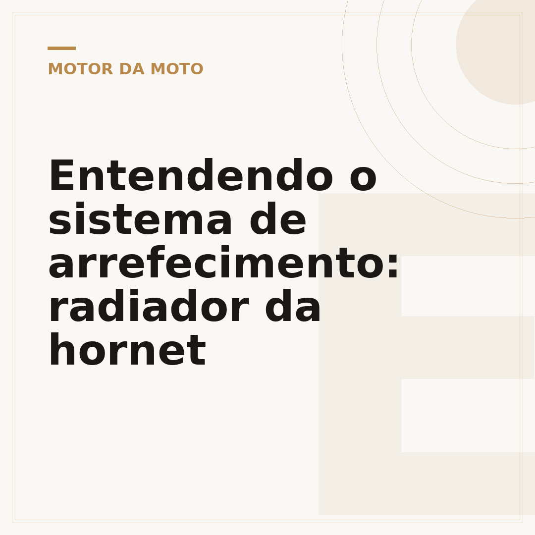 Entendendo o sistema de arrefecimento: radiador da hornet