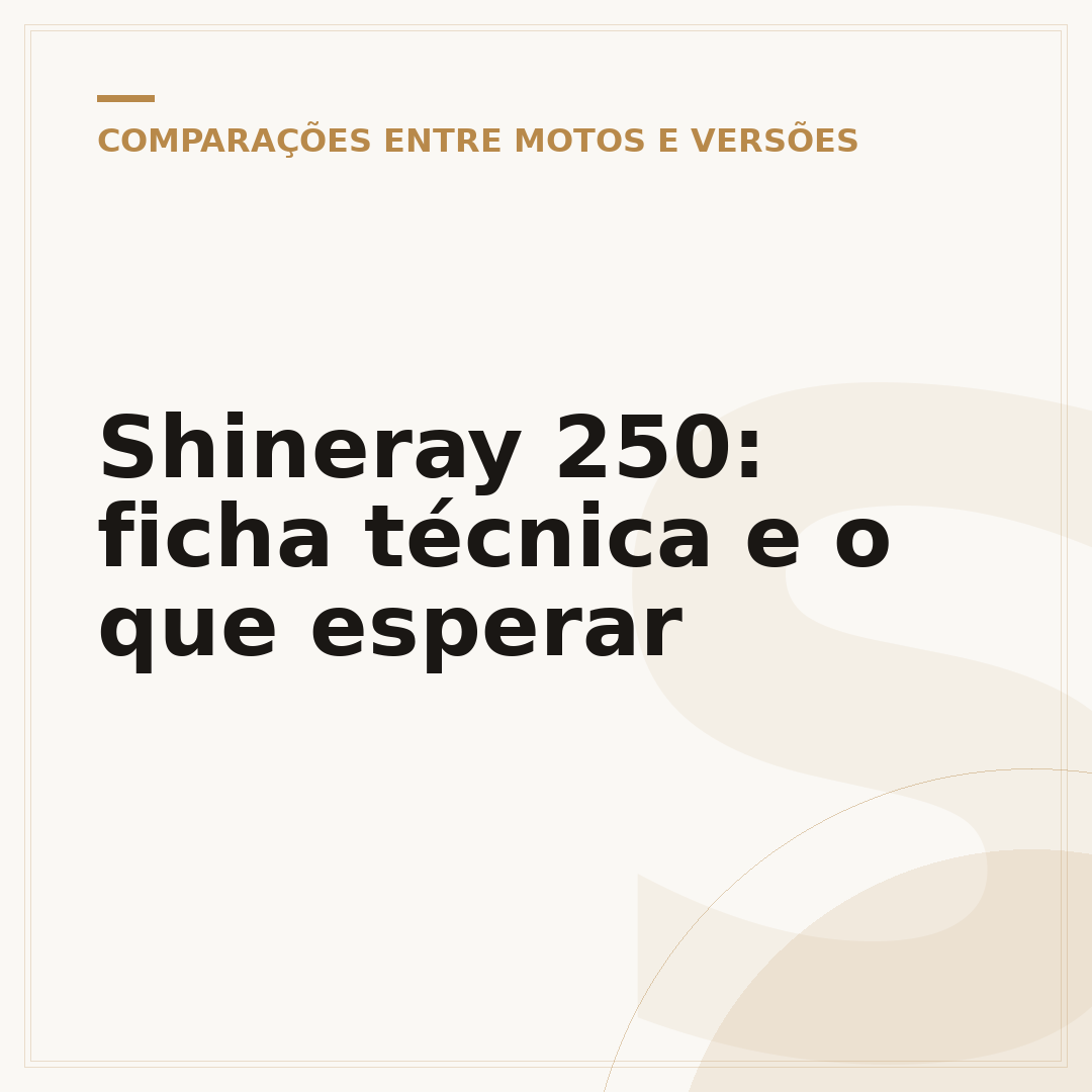 Shineray 250: ficha técnica e o que esperar