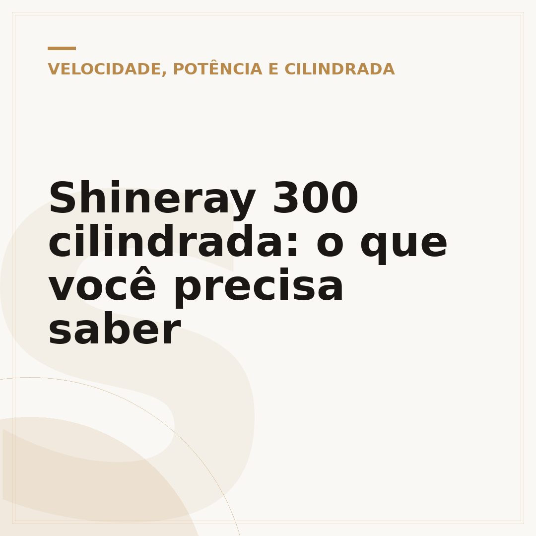 Shineray 300 cilindrada: o que você precisa saber