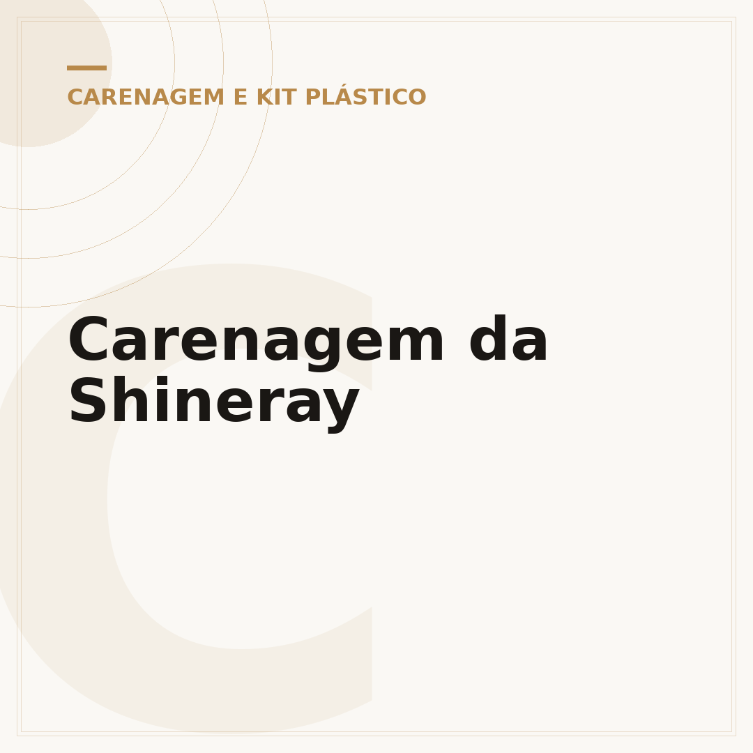 Carenagem da Shineray