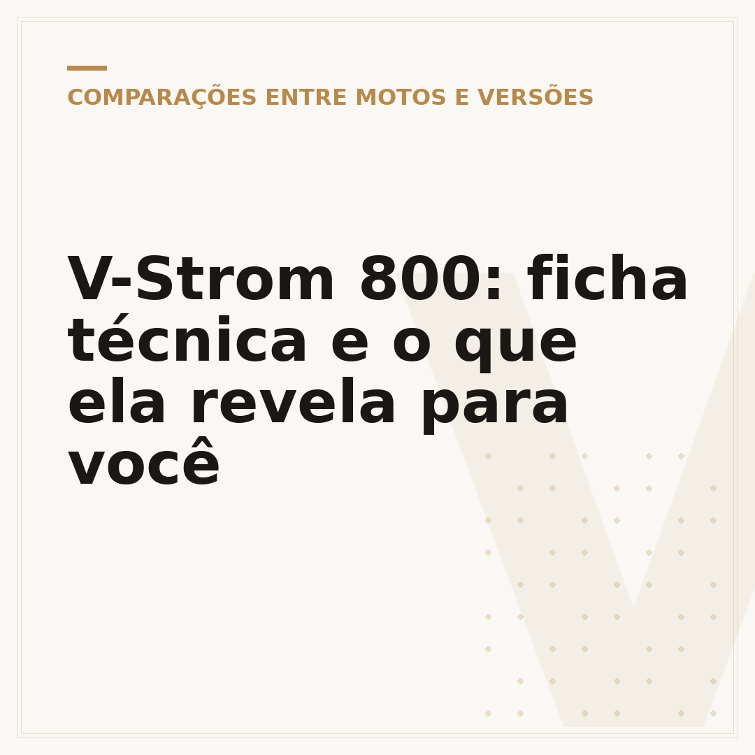 V-Strom 800: ficha técnica e o que ela revela para você